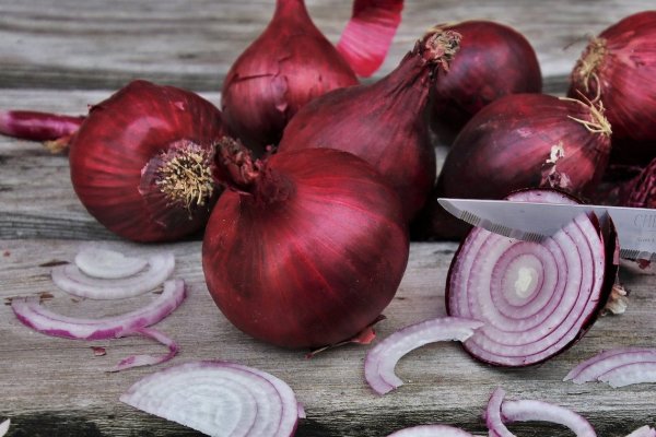 Kraken onion darknet zerkalo